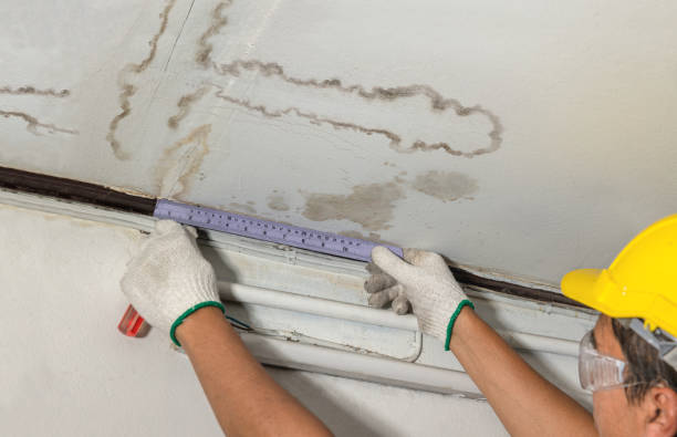 Reliable Water Damage Repair contractor in South Ozone Park, NY by Hirex Water Damage